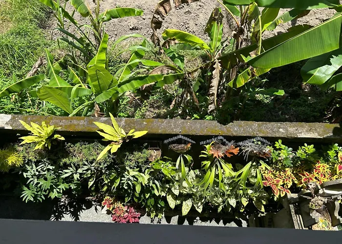 Khandra Kutuh *