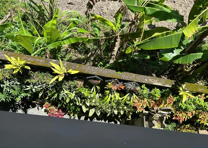 Khandra Kutuh Apartamento