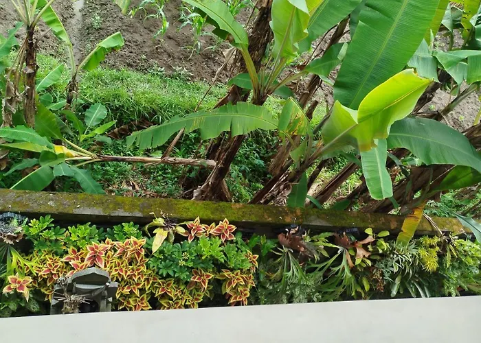 Khandra Kutuh * Ubud